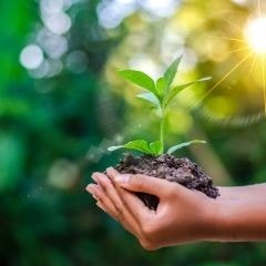 Livre Blanc : Développement durable & gaspillage alimentaire pour les restaurateurs